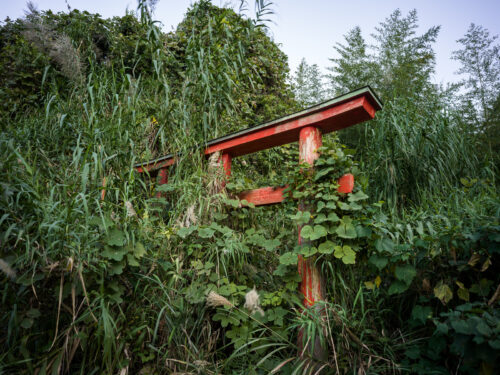 6.Kagoshima1_B0018205
