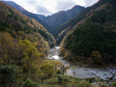 B0009441